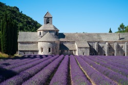 Provence 2007