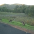 Warrumbungle National Park