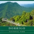 Dorrigo National Park