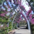 Brisbane - South Bank Parklands