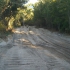 Fraser Island - Sandpisten