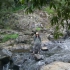 Eungella National Park