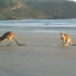 Cape Hillsborough National Park