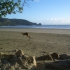 Cape Hillsborough National Park