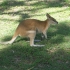 Cape Hillsborough National Park