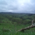 Atherton Tablelands