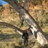 West MacDonnell Ranges - Glenn Helen Gorge