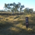 West MacDonnell Ranges - Glenn Helen Gorge