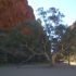 West MacDonnell Ranges - Simpsons Gap