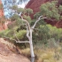 Kata Tjuta