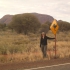 Outback - Kangaroo Sign