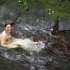 Taveuni - Waitavala Waterslide