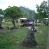 Taveuni - Lavena Coastal Walk