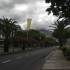 Madeira - Funchal - Avenida do Mar