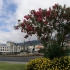 Madeira - Funchal - Avenida do Mar