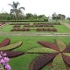 Madeira - Funchal - Jardim Botânico