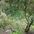 Madeira - Caldeirão Verde