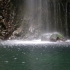 Madeira - Caldeirão Verde