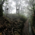 Madeira - Caldeirão Verde