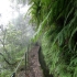 Madeira - Caldeirão Verde