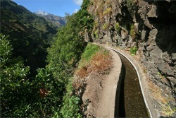 Madeira 2008