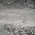 Wai-O-Tapu - Mud Pools