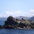 Kaikoura - Whale Watching