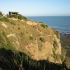 Oamaru - Yellow Eyed Penguin Colony