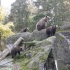 Stockholm - Djurgården - Skansen