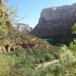 Zion National Park