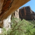 Zion National Park