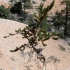 Bryce Canyon - Fairyland Loop