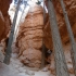 Bryce Canyon - Navajo-Loop