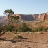 Capitol Reef National Park