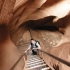 Lower Antelope Canyon