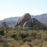 Joshua Tree National Park