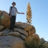 Joshua Tree National Park - Hidden Valley