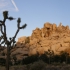 Joshua Tree National Park