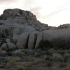 Joshua Tree National Park