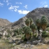 Joshua Tree National Park - 49 Palms Oasis