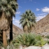 Joshua Tree National Park - 49 Palms Oasis