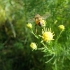 Bern - Botanischer Garten