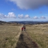 Mount Kosciuszko