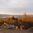 Grampians - Reed Lookout