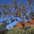 Kata Tjuta - Valley of the Winds