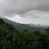 Daintree National Park