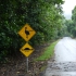 Daintree National Park