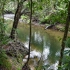 Daintree National Park - Mason's