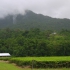 Daintree National Park - Tea Company