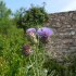 Abbaye de Beauport